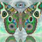 IxVibes