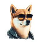 SpiceupStudios