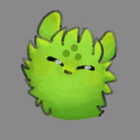 Finnchi