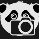 JediPanda