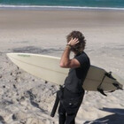 blacktips