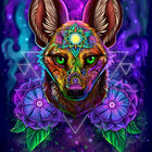 Redbubble profile picture for @khamisu