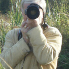 PaulDean