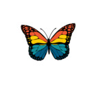 miraclepatterns