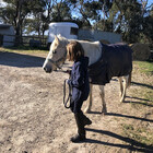 Annika-Rocky