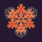 LiquidGeometry