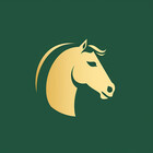 Mr-WiseHorse