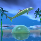 DolphinKingReal