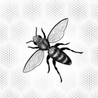 hbdesigns-