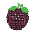 blackberrys1