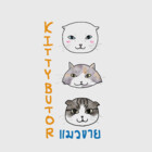 kittybutor