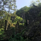AntheaLotus