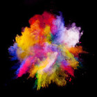 Holi-D