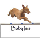 phbabyisis