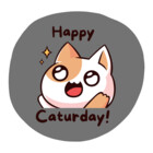 CaturdayGifts