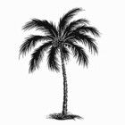 melmeldesign