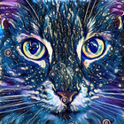 CatOfMostTrades