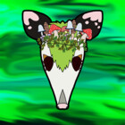 Emoki