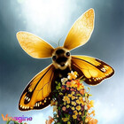 TheNeesofBees
