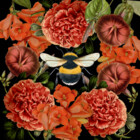 ImYourHoneyBee