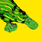 DomPlatypus
