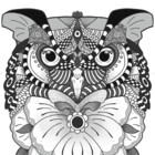 Ag987