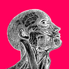 rlblackink