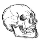 asenseofhumerus