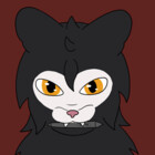 Sasha-the-kitty