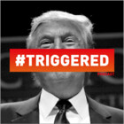 Redbubble profile picture for @Triggering