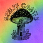seeliecastle
