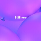 Chinsenterprise