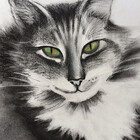 Tina55Art