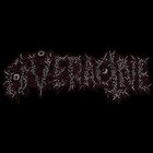 Redbubble profile picture for @overactive