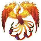 Capephoenix