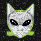 SpaceCatVisions