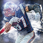 bradykowski
