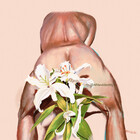 ANewIdentity