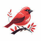 RedFinchPub