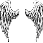 Mengarda