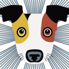 LaldyAnimals