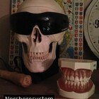 norshorecustom