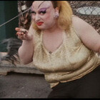 dragsuperstars