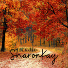 studioSharonKay