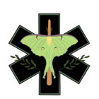 Apairofmedics