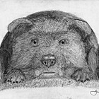 PabloVonPablo