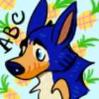 ToucanPuppy