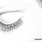 gypsywonder