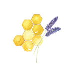 BeeKindAC