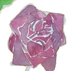 rosetints
